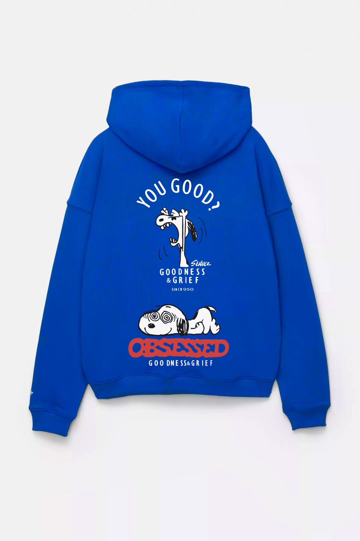 Scooby Vibes hoodie